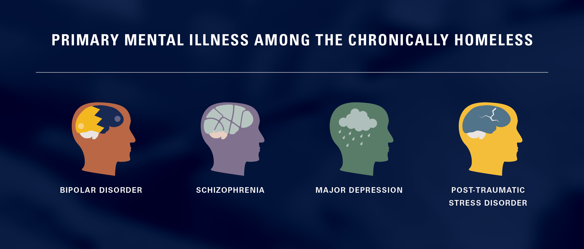 mental illness graphic - bipolar disorder, schizophrenia, depression, ptsd